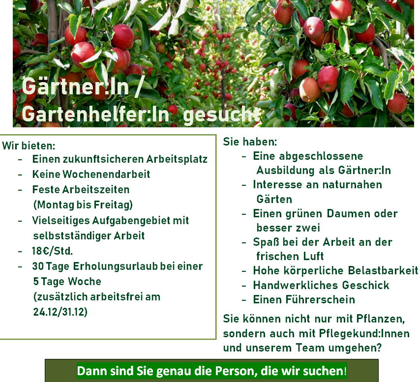 Neues Angebot: